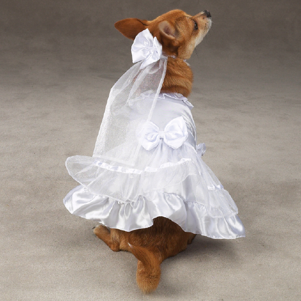 doggy bridesmaid dresses